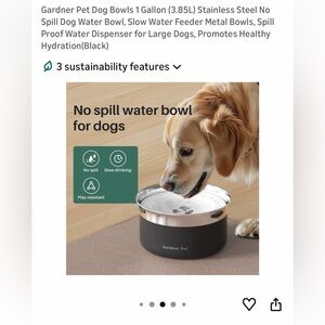 No Spill Slow Water Dog Bowl